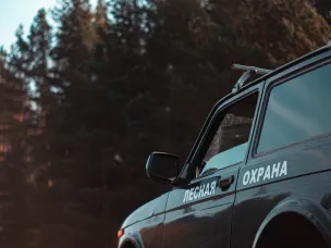 Для оценки состояния нижегородских лесов проведено лесопатологическое обследование на площади более 3 тысяч гектаров